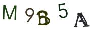 Bild-CAPTCHA