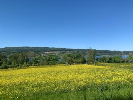 Ökumenischer Seniorenausflug